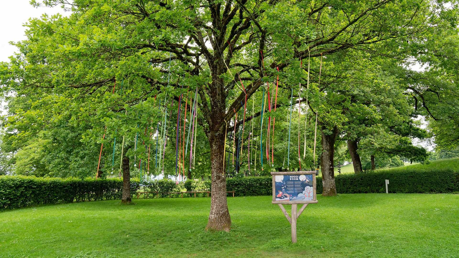 the green Nuggibaum in the playground